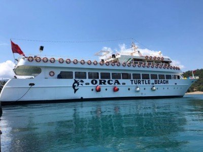 Marmaris Dalyan Turtle Beach Tour By Boat Orca