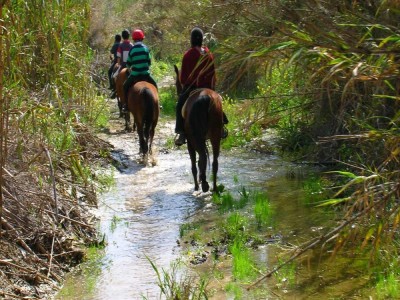 Marmaris: Horse Riding Adventure for All Skill Levels