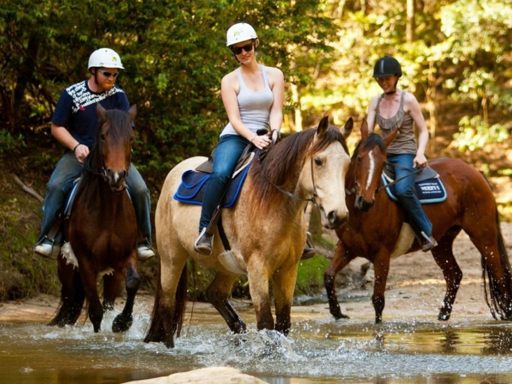 Marmaris Combo Tour 2 Horse Safari-Canoeing Tour 7