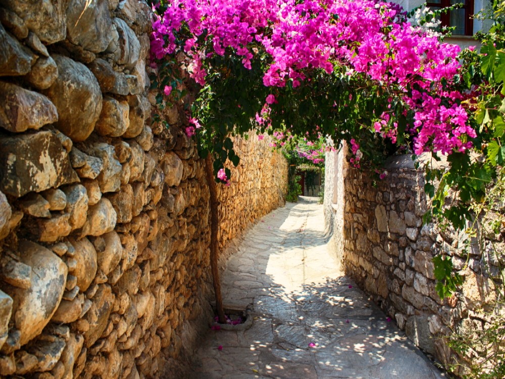 Marmaris Datca Private Tour: A Personalized Day of Exploration 4