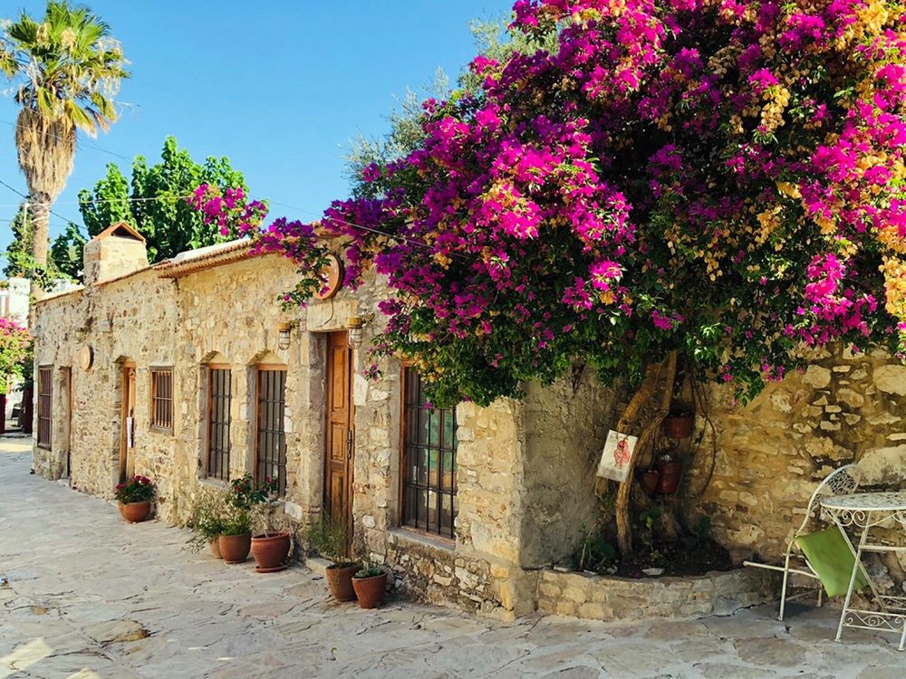 Marmaris: Datca Tour  W/ Lunch & Hotel Pickup Service 6