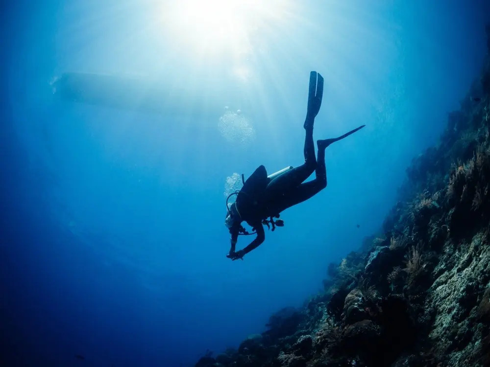 Marmaris Full Day Scuba Diving Two Dives With Lunch  Hotel Pickup 7