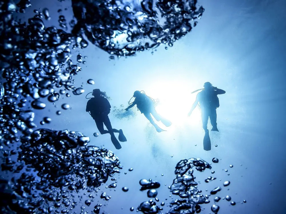 Marmaris Full Day Scuba Diving Two Dives With Lunch  Hotel Pickup 10