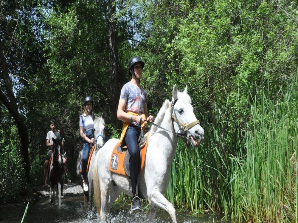 Marmaris: Horse Riding Adventure for All Skill Levels 3