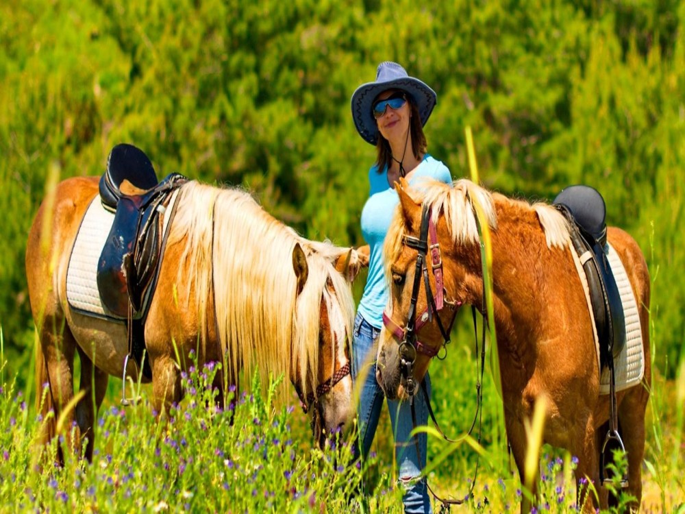 Marmaris: Horse Riding Adventure for All Skill Levels 4
