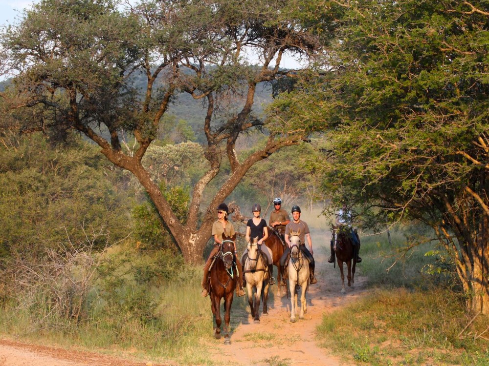 Marmaris: Horse Riding Adventure for All Skill Levels 5