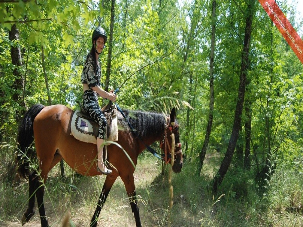 Marmaris: Horse Riding Adventure for All Skill Levels 6