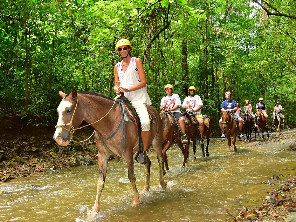 Marmaris: Horse Riding Adventure for All Skill Levels 7