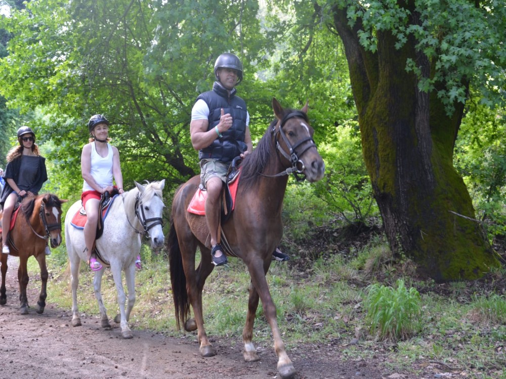 Marmaris: Horse Riding Adventure for All Skill Levels 8