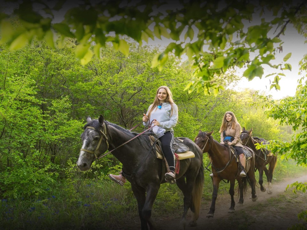 Marmaris Horse Safari & Mini Zoo w/Hotel Pickup 2