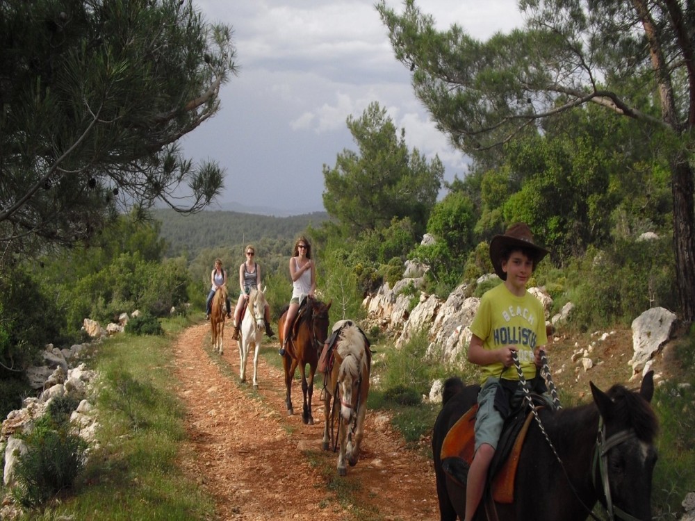 Marmaris Horse Safari & Mini Zoo w/Hotel Pickup 3
