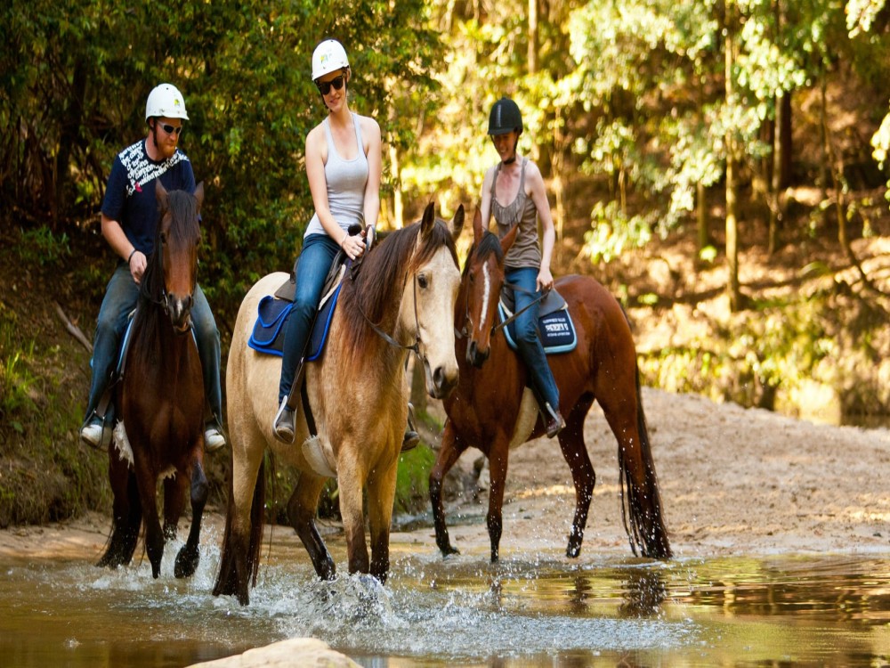 Marmaris Horse Safari & Mini Zoo w/Hotel Pickup 6
