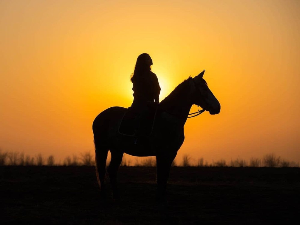 Marmaris Horse Safari & Mini Zoo w/Hotel Pickup 8