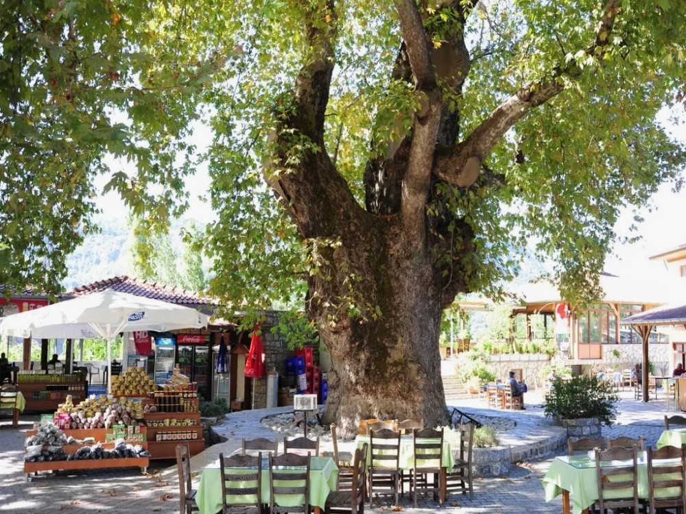 Marmaris Private Jeep Safari: Journey to natural beauties 12