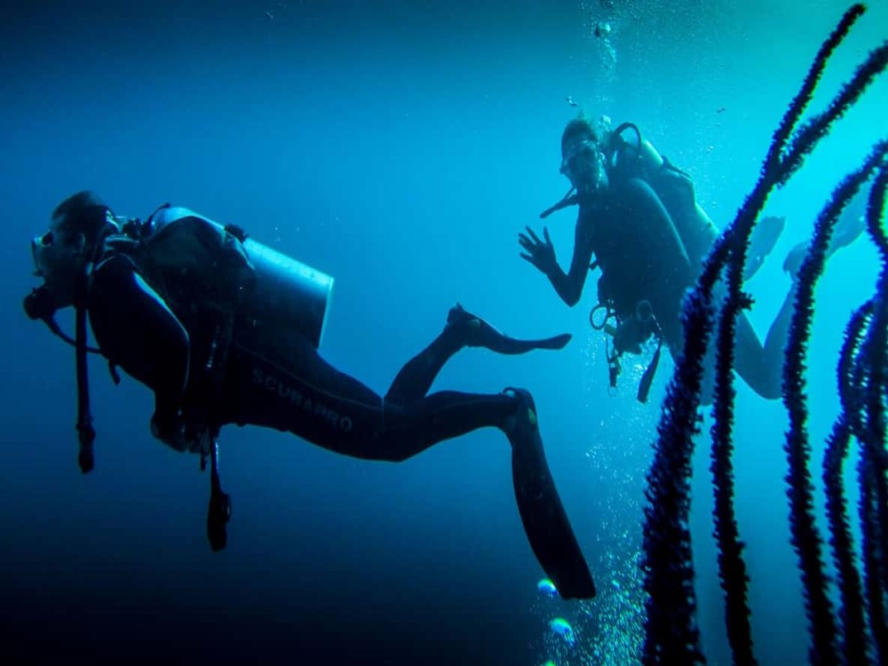 Marmaris Scuba Diving Experience, 2 Dives and Enjoyable Lunch 3