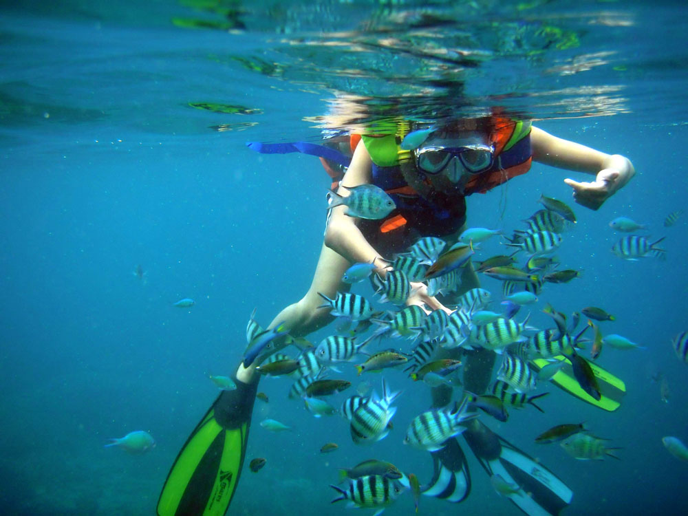 Marmaris Snorkeling Tour:  Discover Marmaris’ Secret Aquatic World 5