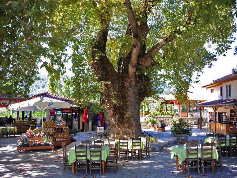 Marmaris Village Tour w/ Waterfalls & Jesus Beach: Nature’s Paradise 1