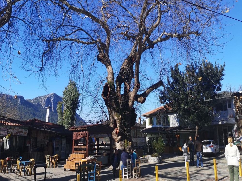 Marmaris Village Tour w/ Waterfalls & Jesus Beach: Nature’s Paradise 7