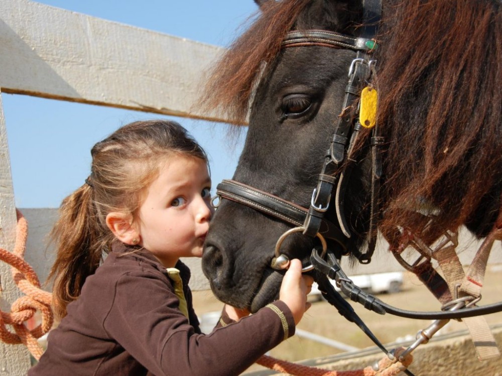 Mini Riders: Pony Fun in Marmaris 4