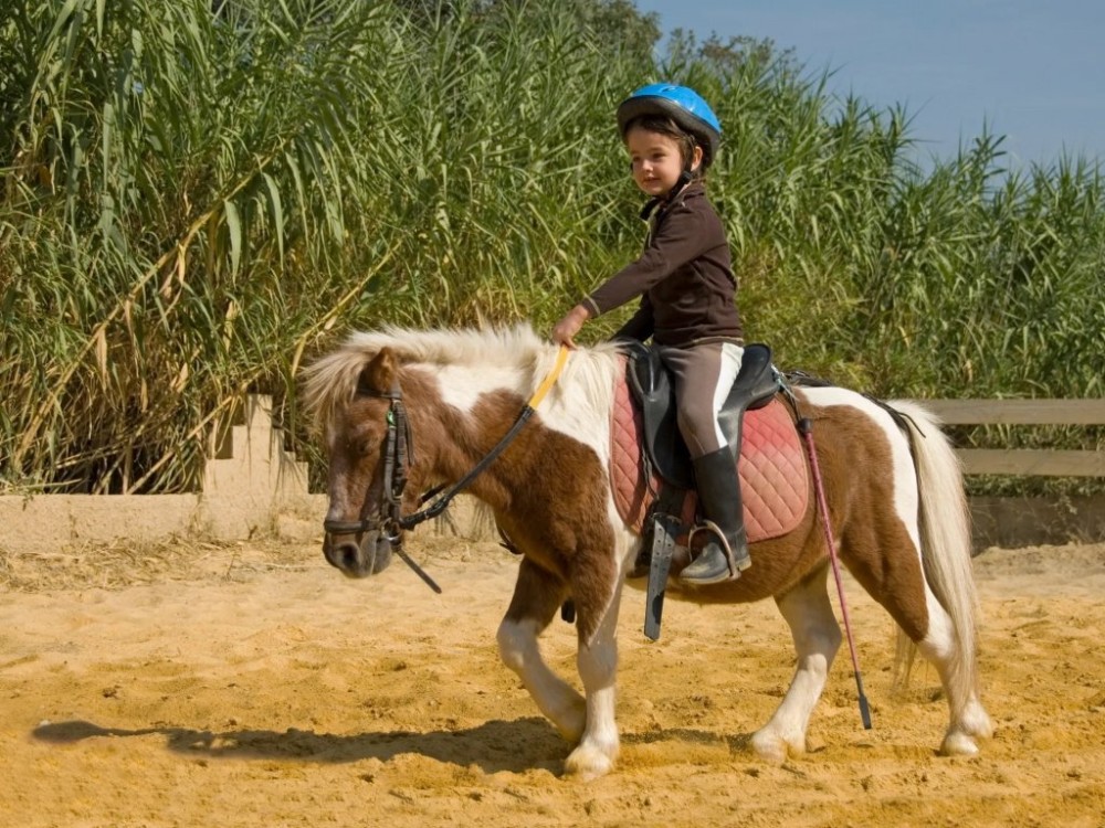 Mini Riders: Pony Fun in Marmaris 5