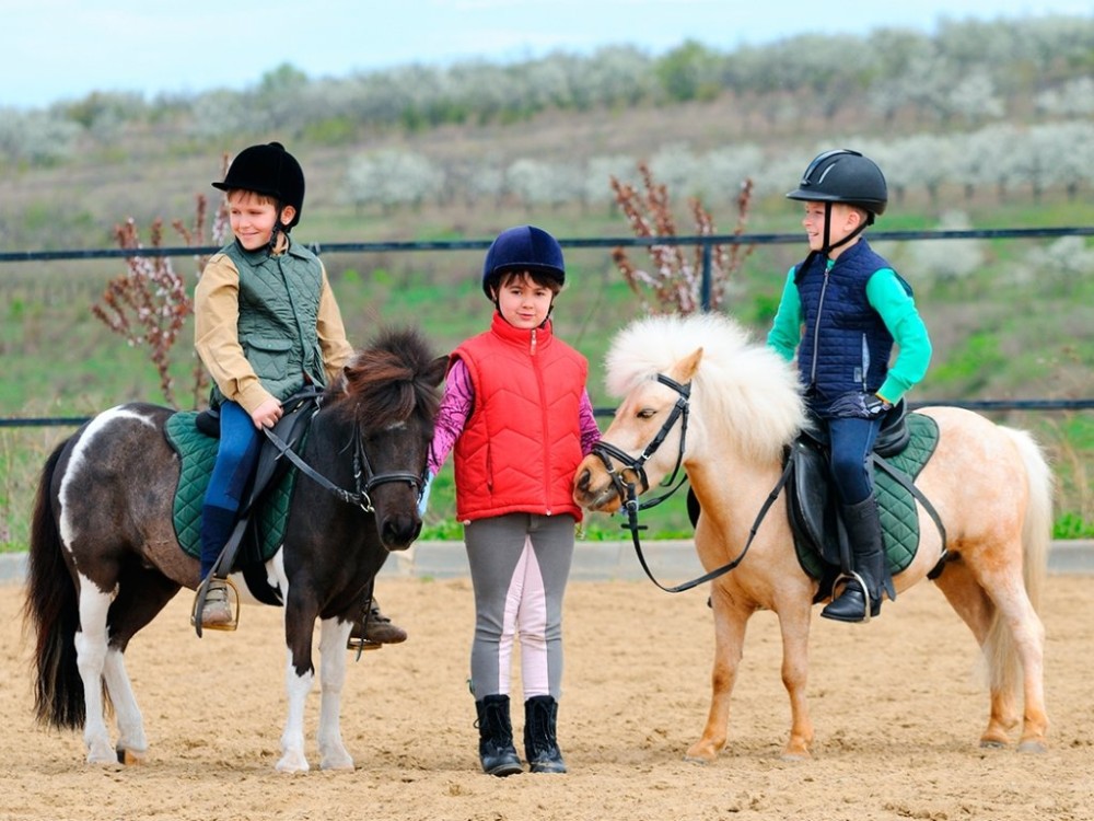 Mini Riders: Pony Fun in Marmaris 6