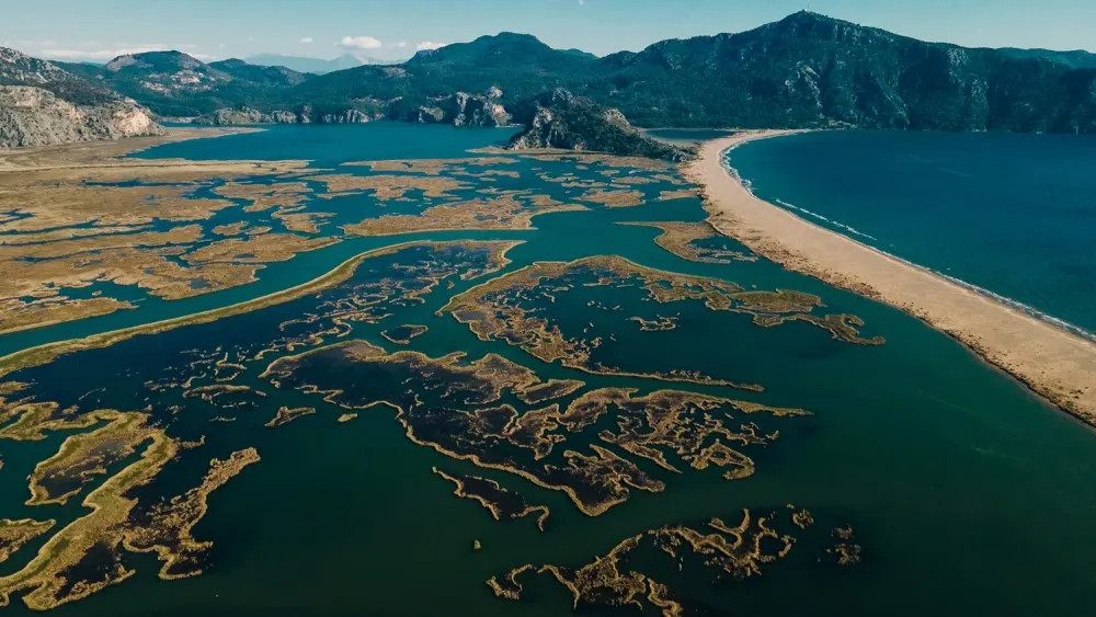 Marmaris: Dalyan Turtle Beach Tour with Mud Bath & Lunch 3