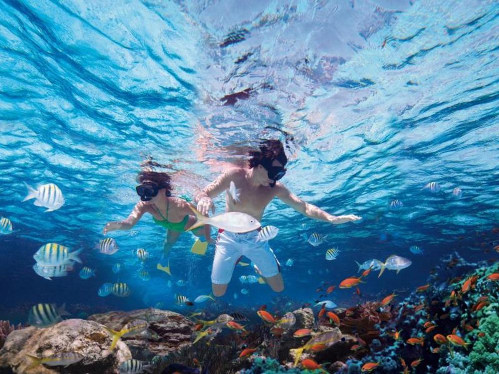 Marmaris Snorkeling Tour:  Discover Marmaris’ Secret Aquatic World 2